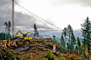 Imagen ilustrativa del artículo Los materiales de construcción y su impacto ambiental