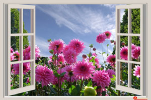 Imagen ilustrativa del artículo Falsa ventana para viviendas sin aberturas