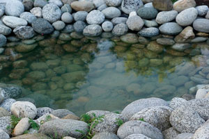 Imagen ilustrativa del artículo Cómo hacer un estanque natural